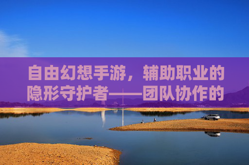 自由幻想手游，辅助职业的隐形守护者——团队协作的基石与胜利的催化剂