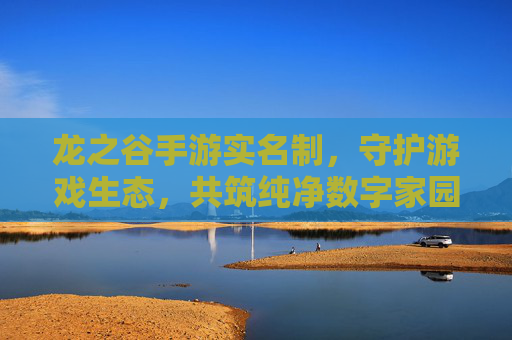 龙之谷手游实名制，守护游戏生态，共筑纯净数字家园，龙之谷手游实名制，守护游戏生态，共筑纯净数字家园
