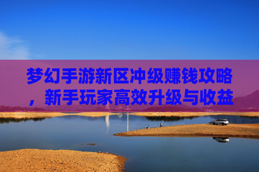 梦幻手游新区冲级赚钱攻略,新手玩家高效升级与收益最大化指南