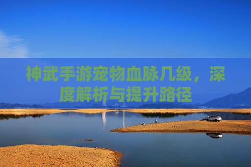 神武手游宠物血脉几级，深度解析与提升路径