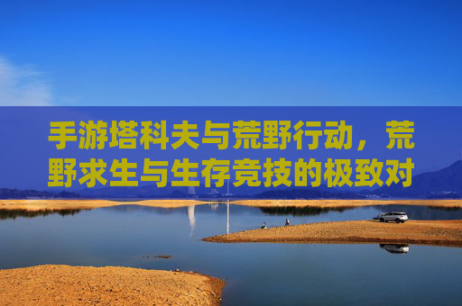手游塔科夫与荒野行动，荒野求生与生存竞技的极致对决——两种荒野生存模式的深度剖析，手游塔科夫与荒野行动，荒野求生与生存竞技的极致对决——两种荒野生存模式的深度剖析