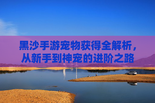 黑沙手游宠物获得全解析,从新手到神宠的进阶之路
