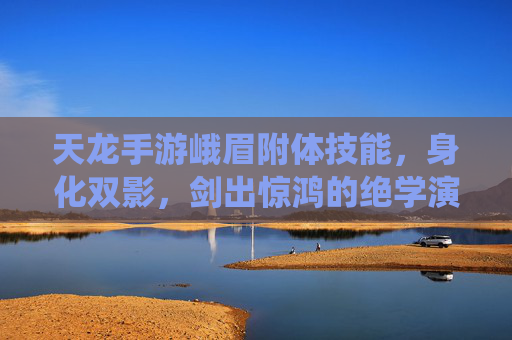 天龙手游峨眉附体技能，身化双影，剑出惊鸿的绝学演绎