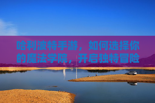 哈利波特手游,如何选择你的魔法学院,开启独特冒险之旅,哈利波特手游,如何选择魔法学院,开启独特冒险之旅