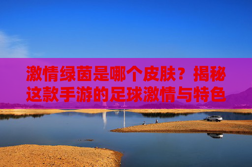 激情绿茵是哪个皮肤？揭秘这款手游的足球激情与特色，激情绿茵是哪个皮肤？揭秘这款手游的足球激情与特色