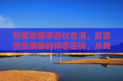 明星志愿手游仪态满，解锁顶级偶像的体态密码，从舞台新人到星光璀璨的进阶之路