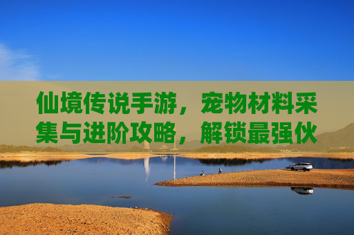 仙境传说手游,宠物材料采集与进阶攻略,解锁最强伙伴的养成之路