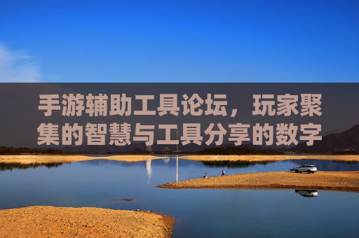 手游辅助工具论坛,玩家聚集的智慧与工具分享的数字社区