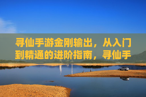 寻仙手游金刚输出，从入门到精通的进阶指南，寻仙手游金刚输出，从入门到精通的进阶指南