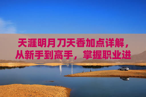 天涯明月刀天香加点详解，从新手到高手，掌握职业进阶的核心策略，天涯明月刀天香加点详解，从新手到高手的职业进阶核心策略
