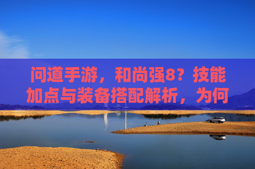 问道手游，和尚强8？技能加点与装备搭配解析，为何角色进阶如此高效？
