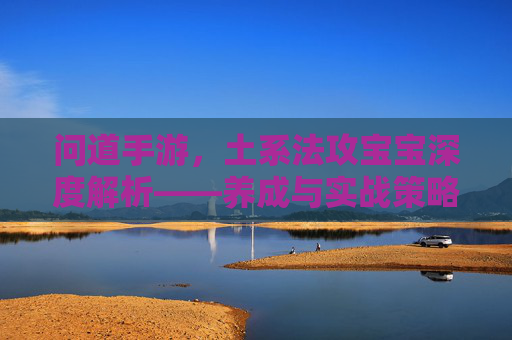 问道手游，土系法攻宝宝深度解析——养成与实战策略全指南，问道手游土系法攻宝宝深度解析——养成与实战策略全指南