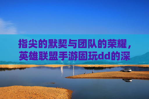 指尖的默契与团队的荣耀，英雄联盟手游固玩dd的深度解析，指尖的默契与团队的荣耀，英雄联盟手游固玩dd的深度解析
