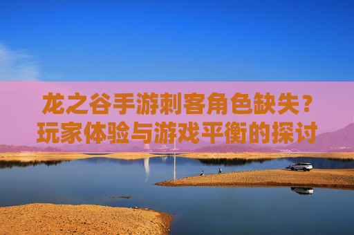 龙之谷手游刺客角色缺失？玩家体验与游戏平衡的探讨，龙之谷手游刺客角色缺失？玩家体验与游戏平衡的探讨
