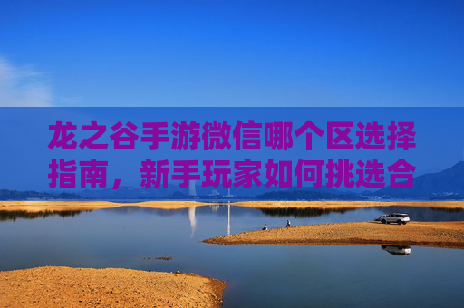 龙之谷手游微信哪个区选择指南,新手玩家如何挑选合适的游戏区域