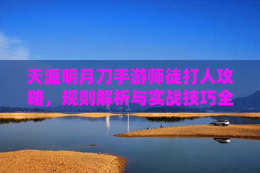 天涯明月刀手游师徒打人攻略,规则解析与实战技巧全解