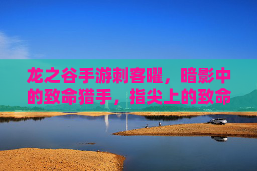 龙之谷手游刺客曜,暗影中的致命猎手,指尖上的致命一击