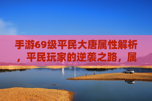 手游69级平民大唐属性解析，平民玩家的逆袭之路，属性搭配与成长策略，手游69级平民大唐属性解析，平民玩家的逆袭之路与属性搭配成长策略