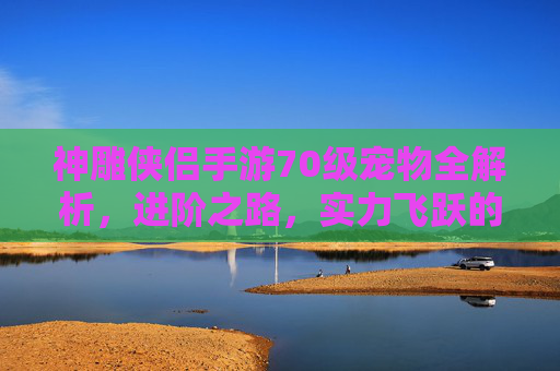神雕侠侣手游70级宠物全解析,进阶之路,实力飞跃的钥匙!