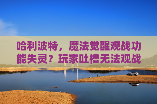 哈利波特，魔法觉醒观战功能失灵？玩家吐槽无法观战的痛点与解决方案探讨，哈利波特，魔法觉醒观战功能失灵？玩家痛点与解决方案探讨