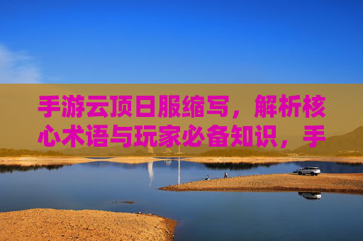 手游云顶日服缩写，解析核心术语与玩家必备知识，手游云顶日服缩写解析，核心术语与玩家必备知识