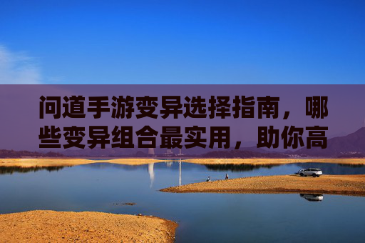 问道手游变异选择指南，哪些变异组合最实用，助你高效通关？问道手游变异选择指南，哪些变异组合最实用，助你高效通关？