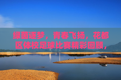 绿茵逐梦,青春飞扬,花都区体校足球比赛精彩回顾,绿茵逐梦,青春飞扬,花都区体校足球比赛精彩回顾