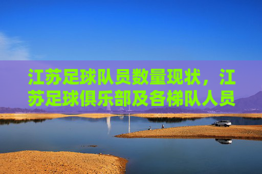 江苏足球队员数量现状，江苏足球俱乐部及各梯队人员构成分析，江苏足球队员数量现状与足球俱乐部及各梯队人员构成分析