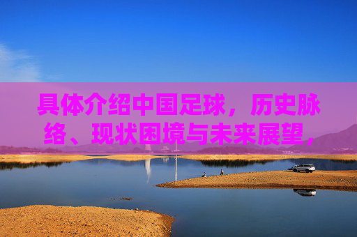 具体介绍中国足球，历史脉络、现状困境与未来展望，中国足球，历史脉络、现状困境与未来展望