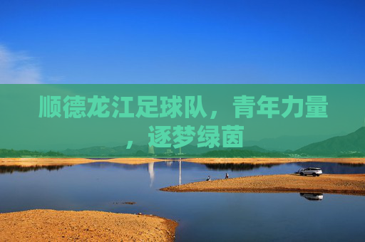 顺德龙江足球队，青年力量，逐梦绿茵