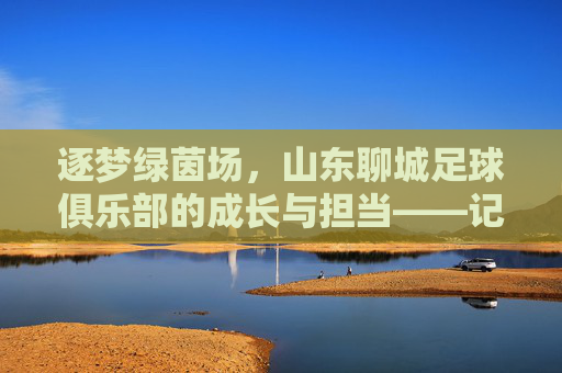 逐梦绿茵场，山东聊城足球俱乐部的成长与担当——记山东聊城市足球俱乐部的发展之路，逐梦绿茵场，山东聊城足球俱乐部的成长与担当——记山东聊城市足球俱乐部的发展之路