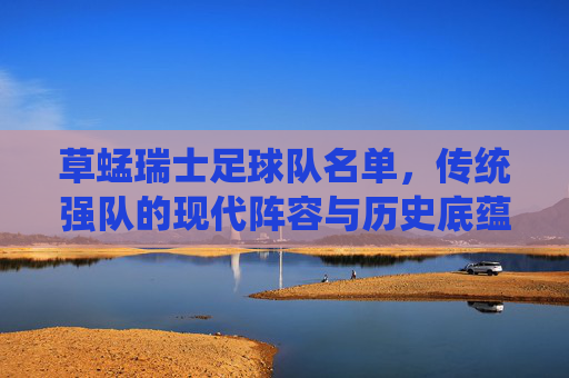 草蜢瑞士足球队名单,传统强队的现代阵容与历史底蕴