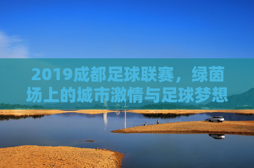 2019成都足球联赛,绿茵场上的城市激情与足球梦想,2019成都足球联赛,绿茵场上的城市激情与足球梦想