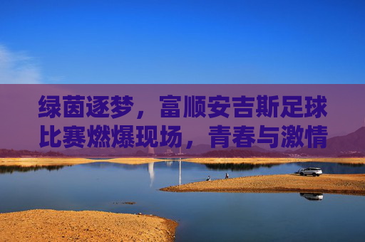 绿茵逐梦，富顺安吉斯足球比赛燃爆现场，青春与激情的碰撞，绿茵逐梦，富顺安吉斯足球比赛燃爆现场，青春与激情的碰撞