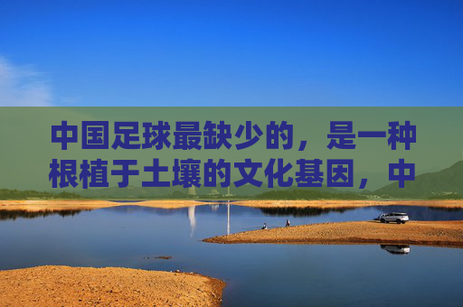 中国足球最缺少的，是一种根植于土壤的文化基因，中国足球最缺少的，是一种根植于土壤的文化基因