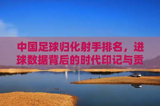 中国足球归化射手排名，进球数据背后的时代印记与贡献解析，中国足球归化射手进球数据，时代印记与历史贡献解析