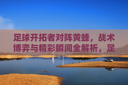 足球开拓者对阵黄蜂,战术博弈与精彩瞬间全解析,足球开拓者对阵黄蜂,战术博弈与精彩瞬间全解析