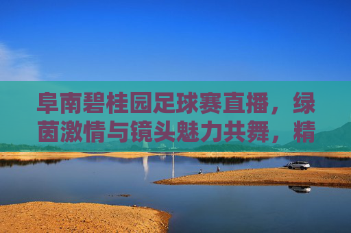 阜南碧桂园足球赛直播，绿茵激情与镜头魅力共舞，精彩瞬间实时呈现，阜南碧桂园足球赛直播，绿茵激情与镜头魅力共舞，精彩瞬间实时呈现