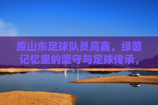 原山东足球队员高鑫，绿茵记忆里的坚守与足球传承，原山东足球队员高鑫，绿茵记忆里的坚守与足球传承