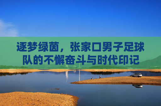 逐梦绿茵，张家口男子足球队的不懈奋斗与时代印记
