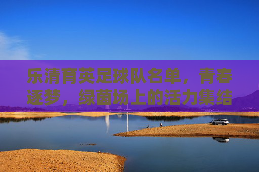 乐清育英足球队名单，青春逐梦，绿茵场上的活力集结，乐清育英足球队名单，青春逐梦，绿茵场上的活力集结