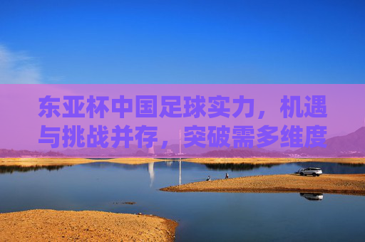 东亚杯中国足球实力,机遇与挑战并存,突破需多维度发力,东亚杯中国足球,实力、机遇与挑战并存,突破需多维度发力