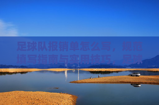 足球队报销单怎么写,规范填写指南与实用技巧,足球队报销单填写指南,规范步骤与实用技巧