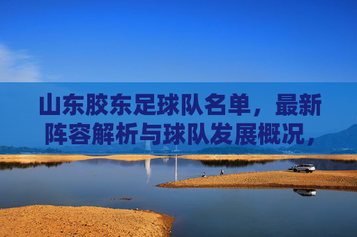 山东胶东足球队名单，最新阵容解析与球队发展概况，山东胶东足球队最新名单，阵容解析与球队发展概况