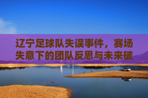 辽宁足球队失误事件，赛场失意下的团队反思与未来破局之路，辽宁足球队失误事件，赛场失意下的团队反思与未来破局之路