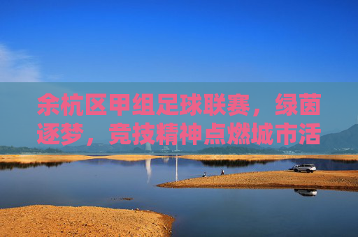 余杭区甲组足球联赛，绿茵逐梦，竞技精神点燃城市活力，余杭区甲组足球联赛，绿茵逐梦，竞技精神点燃城市活力
