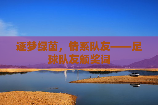 逐梦绿茵,情系队友——足球队友颁奖词