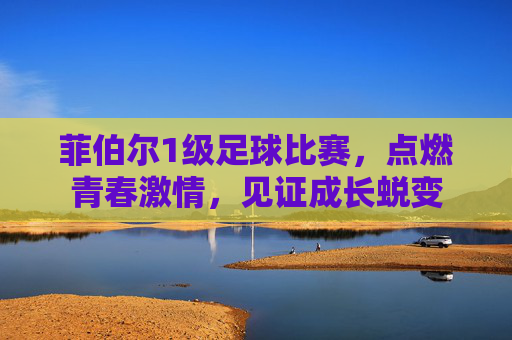 菲伯尔1级足球比赛，点燃青春激情，见证成长蜕变