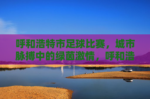 呼和浩特市足球比赛，城市脉搏中的绿茵激情，呼和浩特市足球比赛，城市脉搏中的绿茵激情