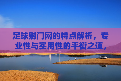 足球射门网的特点解析，专业性与实用性的平衡之道，足球射门网的特点解析，专业性与实用性的平衡之道